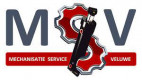 MSV